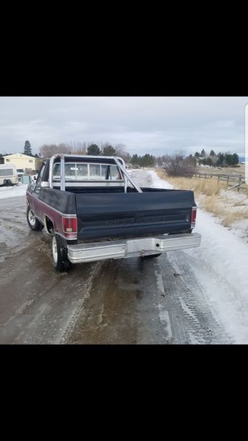 1980 Chevrolet C/K Pickup 1500