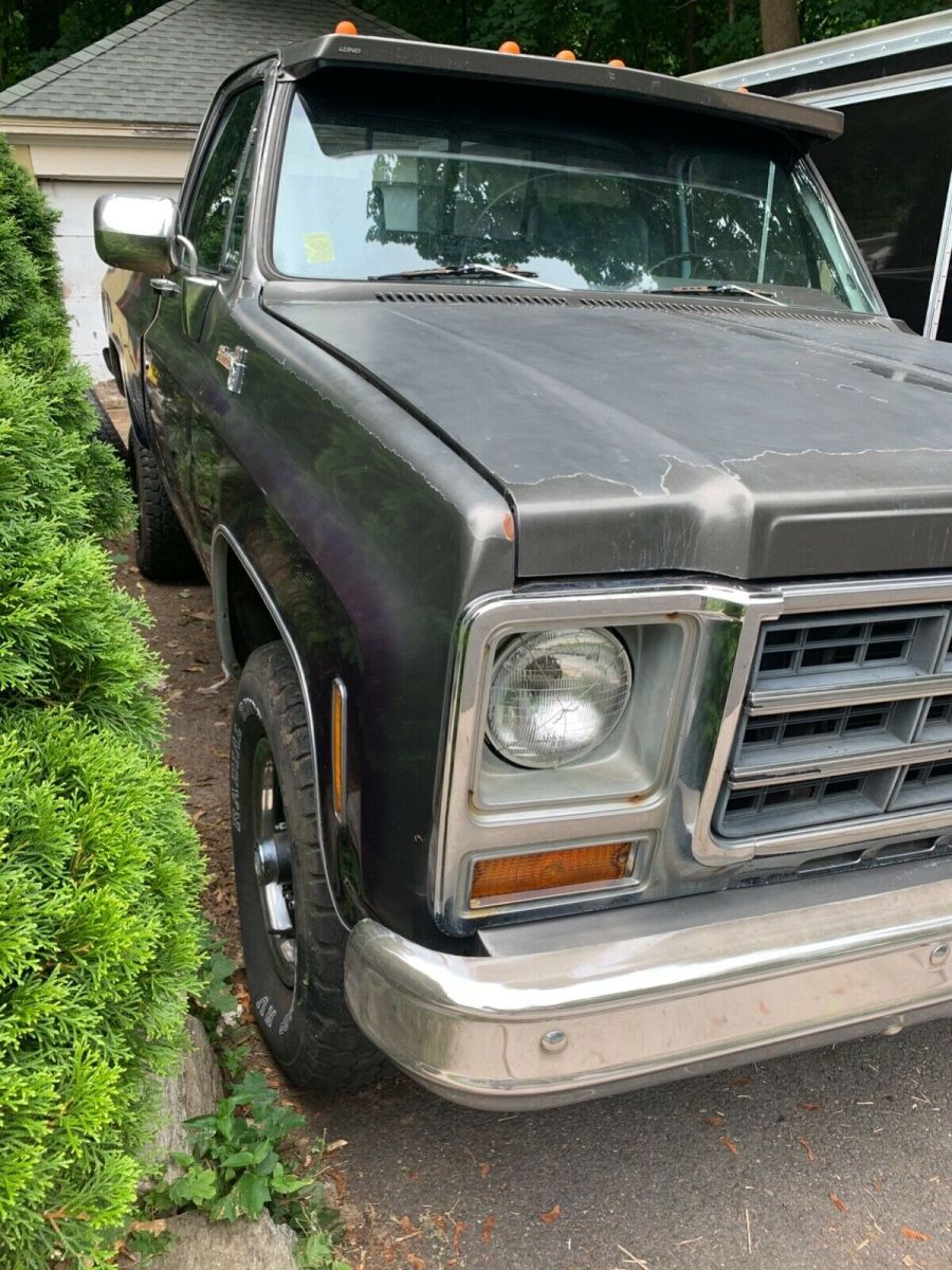 1980 Chevrolet Cheyenne