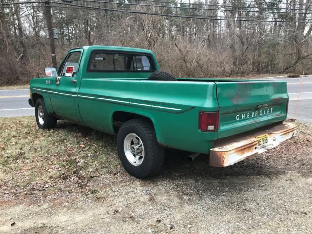 1980 CHEVY C20 SPECS visual data 7