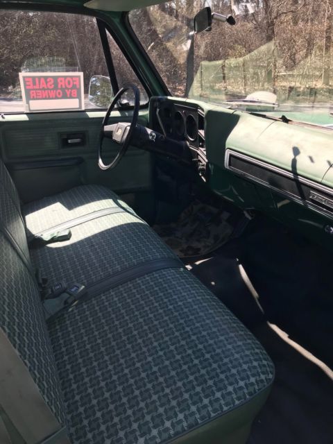 1980 Green Chevrolet C-10 Standard Cab Pickup