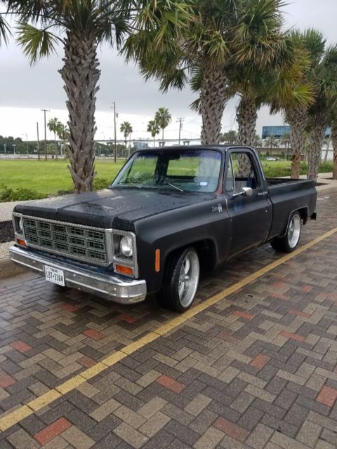 1980 Chevrolet C-10