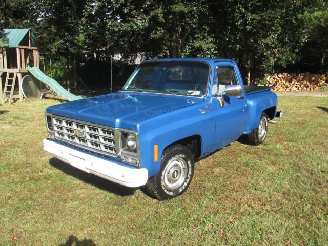 1980 Blue Chevrolet C-10 Standard Cab Pickup