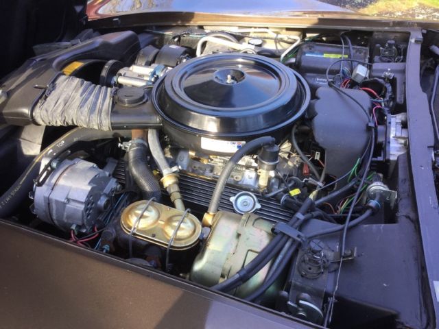 1980 Brown Chevrolet Corvette Coupe