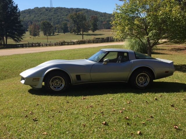 1980 Silver Chevrolet Corvette Fastback