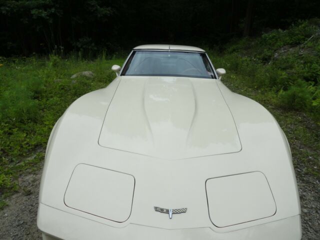 1980 Frost Beige Chevrolet Corvette Coupe