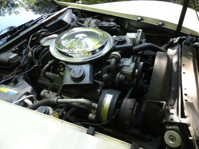 1980 White Chevrolet Corvette T-Top