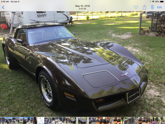 1980 Brown Chevrolet Corvette Coupe