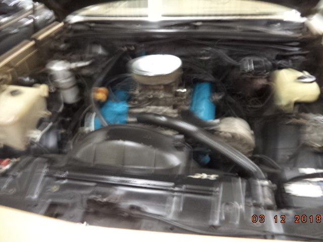 1980 WHITE/ GOLD Oldsmobile Cutlass Coupe