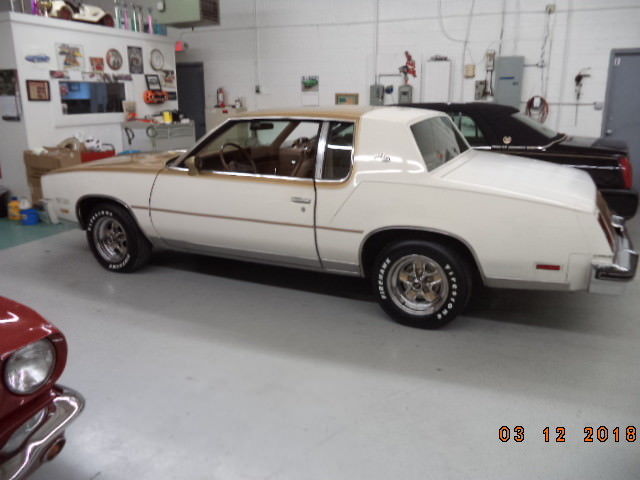 1980 WHITE/ GOLD Oldsmobile Cutlass Coupe