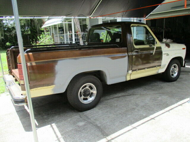 1980 Ford F-100