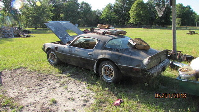 1980 Black Pontiac Firebird