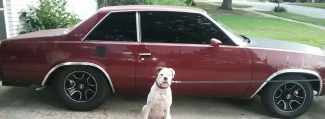 1980 Chevrolet Malibu