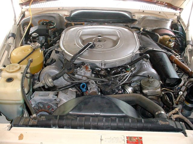 1980 Beige Mercedes-Benz 400-Series Convertible