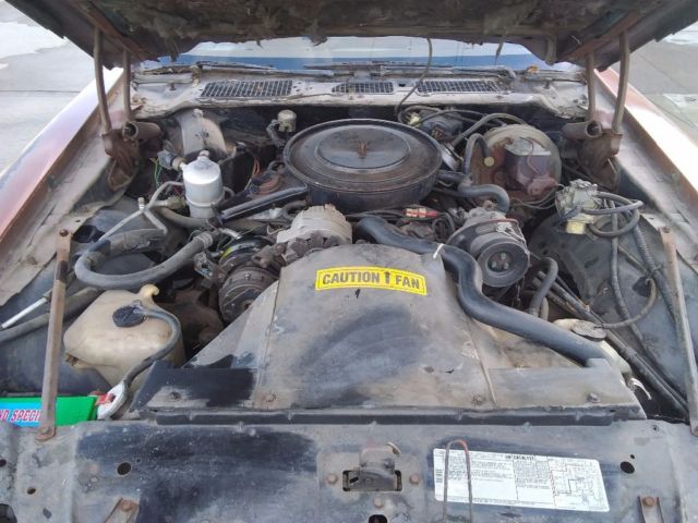 1980 Gold Pontiac Firebird Coupe