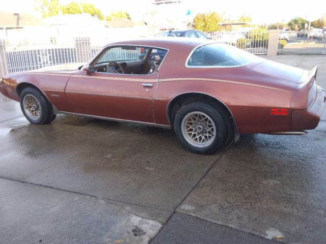 1980 Gold Pontiac Firebird Coupe