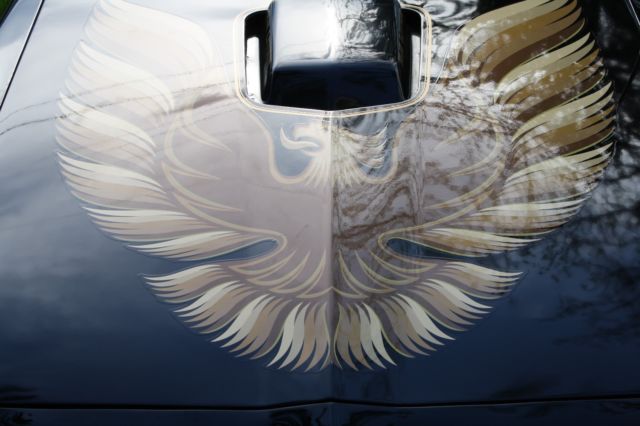 1980 Black Pontiac Trans Am T-Top