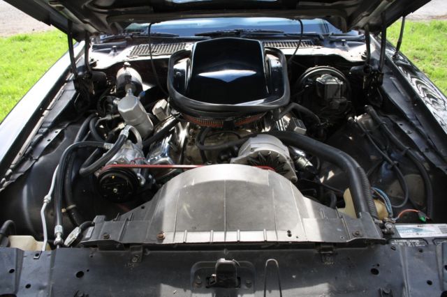 1980 Black Pontiac Trans Am T-Top