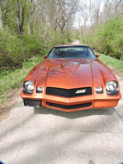 1980 Silver Chevrolet Camaro Coupe