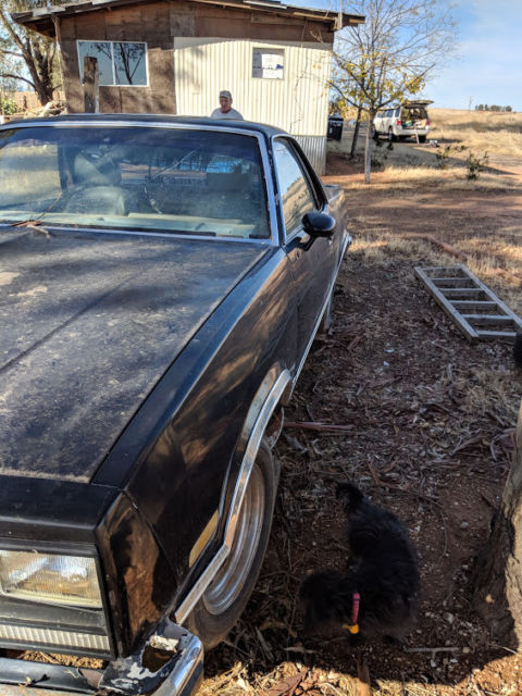 1980 Chevrolet El Camino