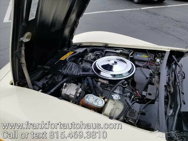 1981 Tan Chevrolet Corvette