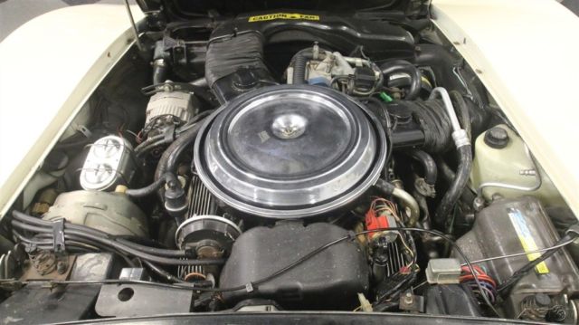 1981 Tan Chevrolet Corvette