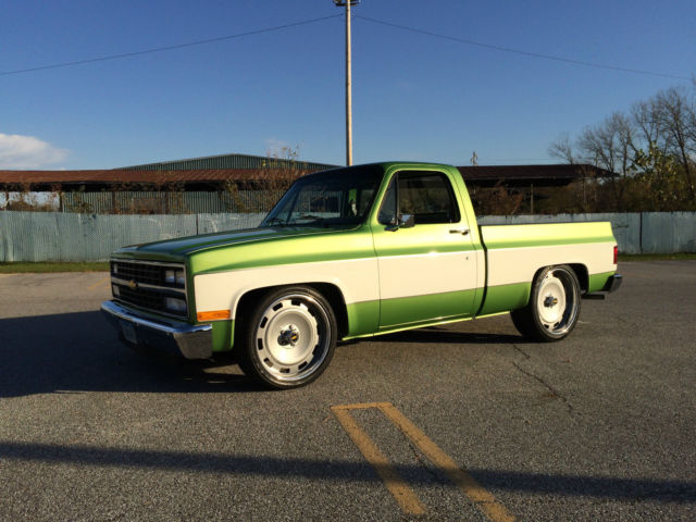 1981 Chevrolet C-10 Standard Cab Pickup