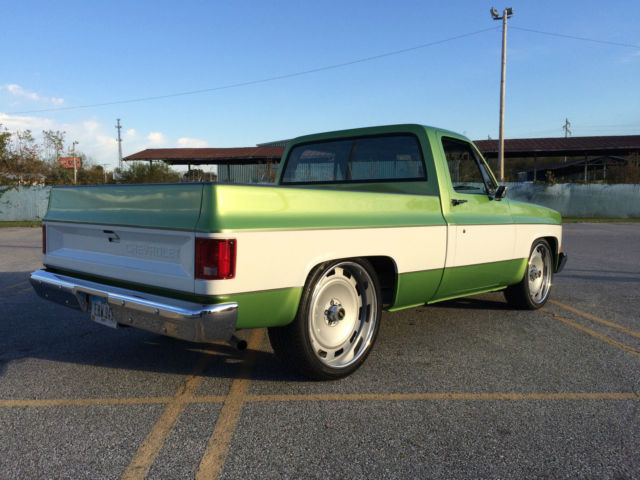 1981 Chevrolet C-10 Standard Cab Pickup