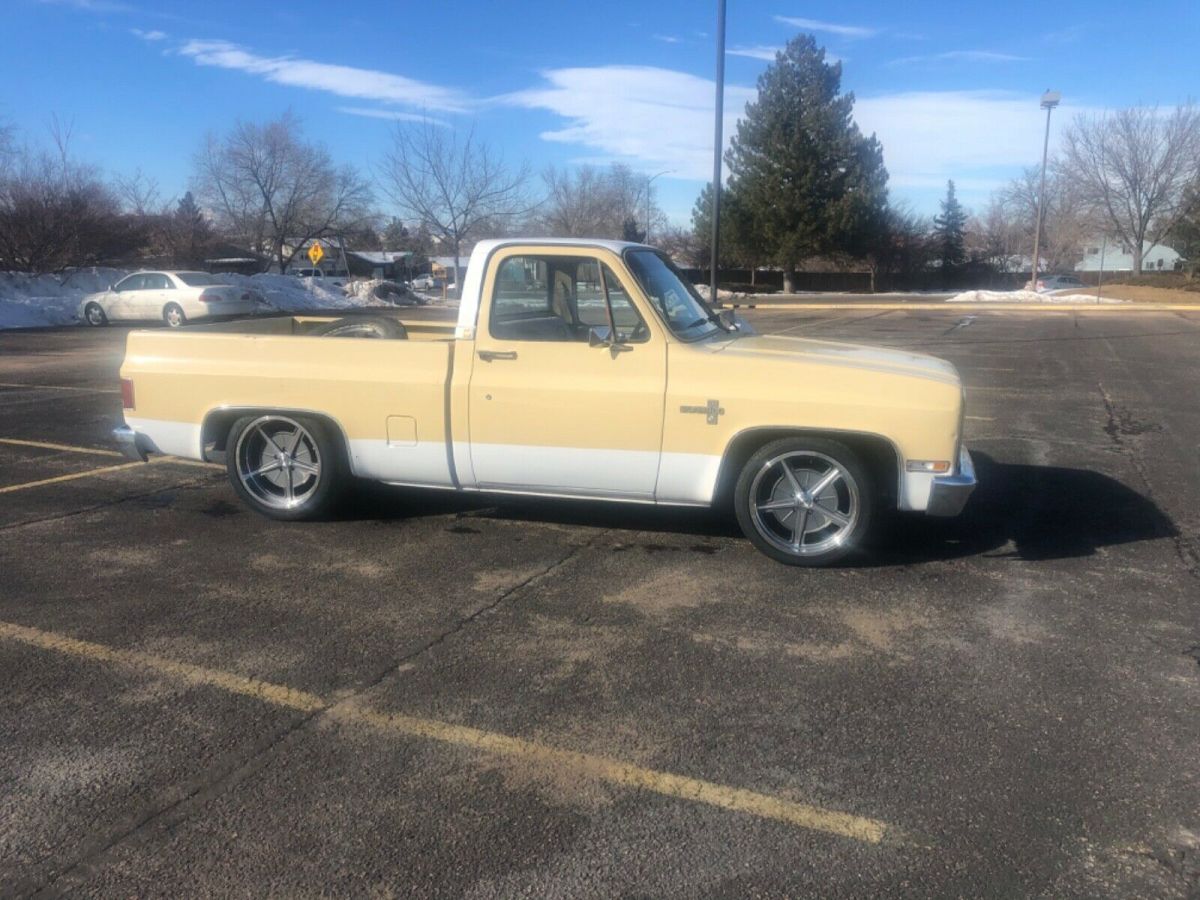 1981 Chevrolet C-10 Standard Cab Pickup