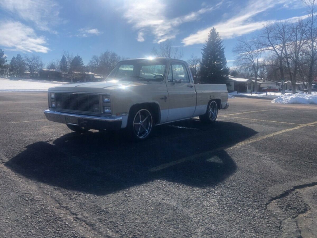 1981 Chevrolet C-10 Standard Cab Pickup