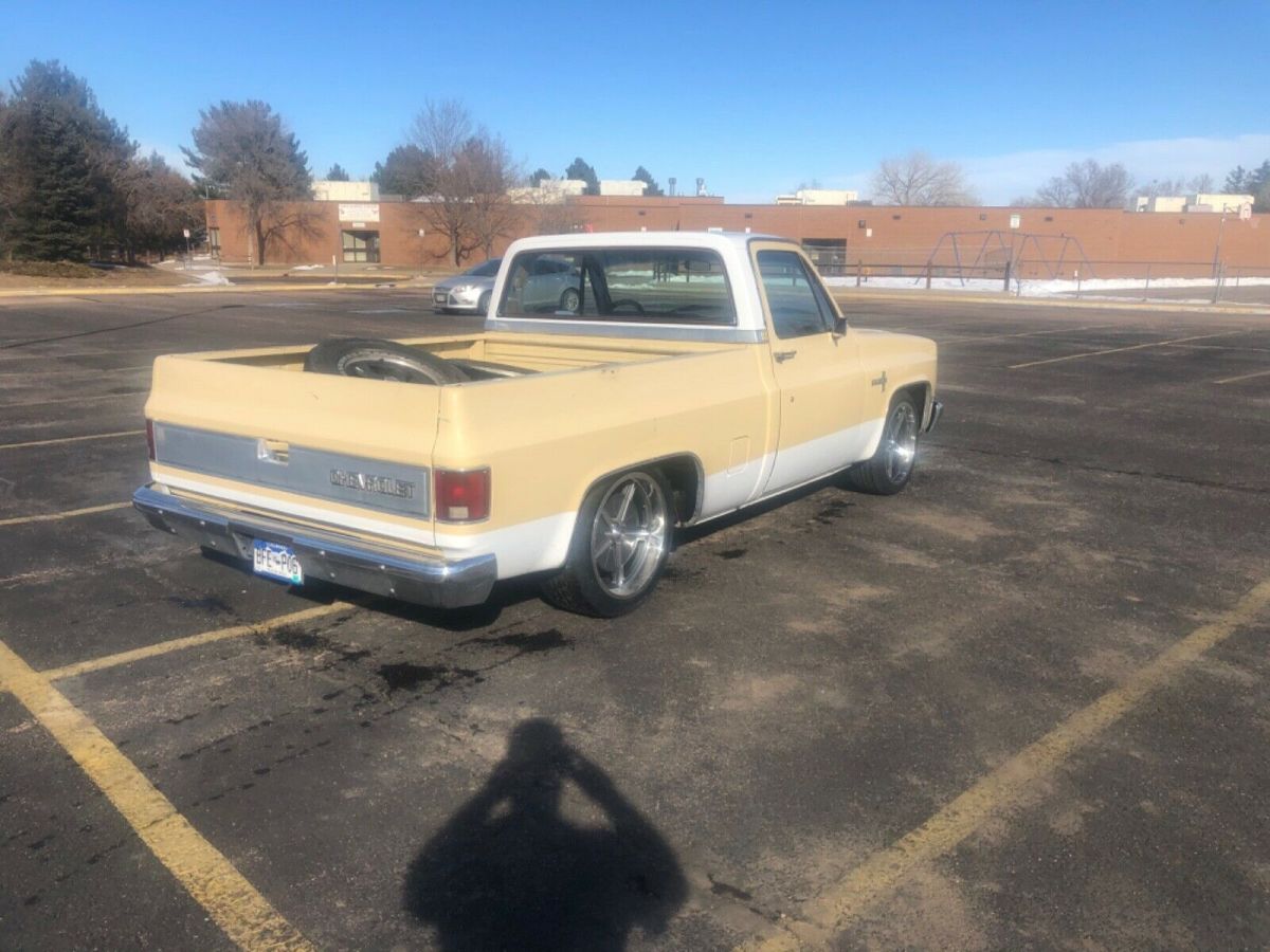 1981 Chevrolet C-10 Standard Cab Pickup