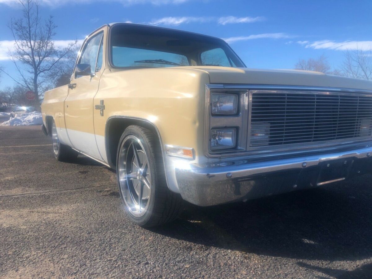 1981 Chevrolet C-10 Standard Cab Pickup