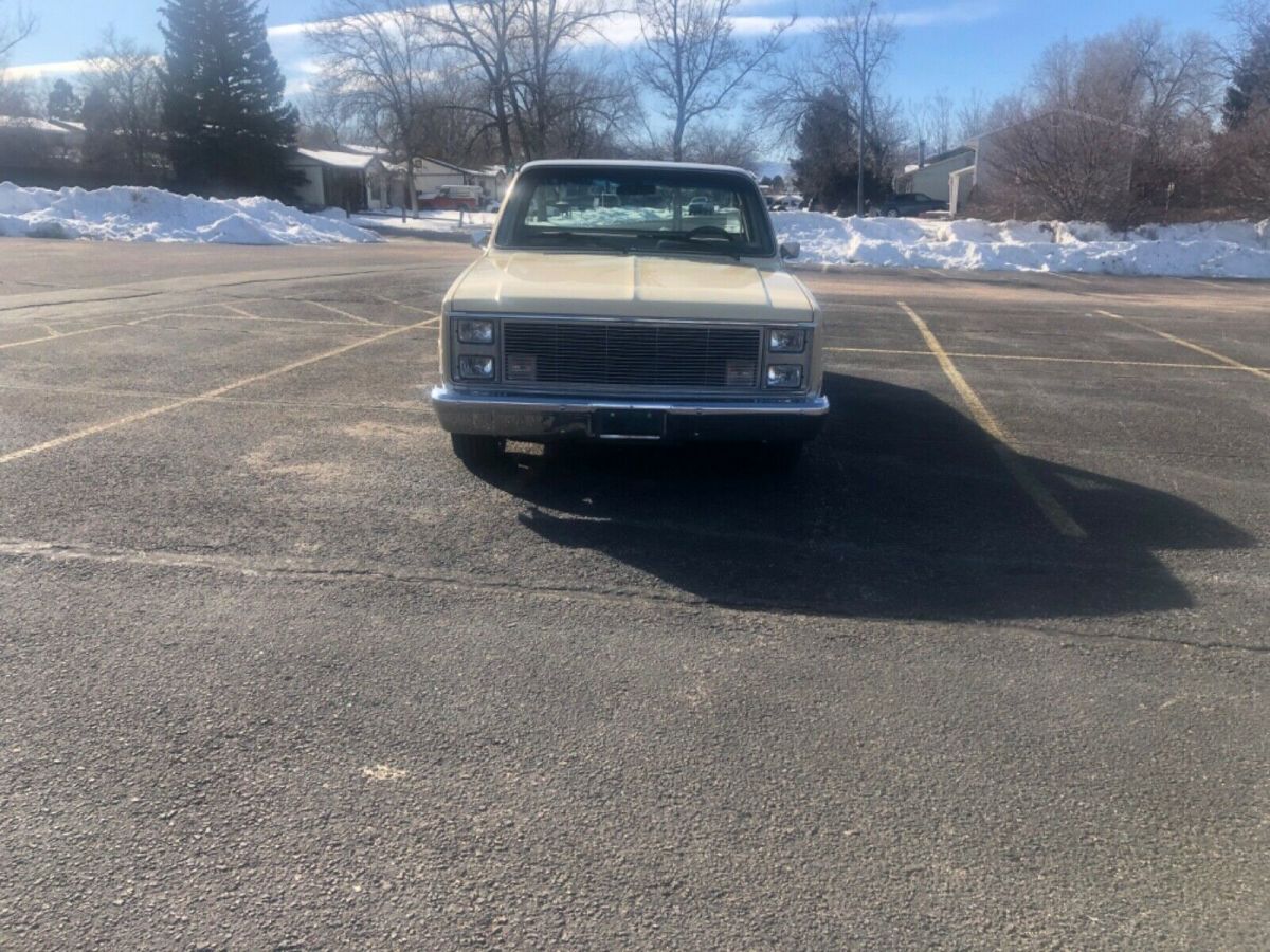 1981 Chevrolet C-10 Standard Cab Pickup