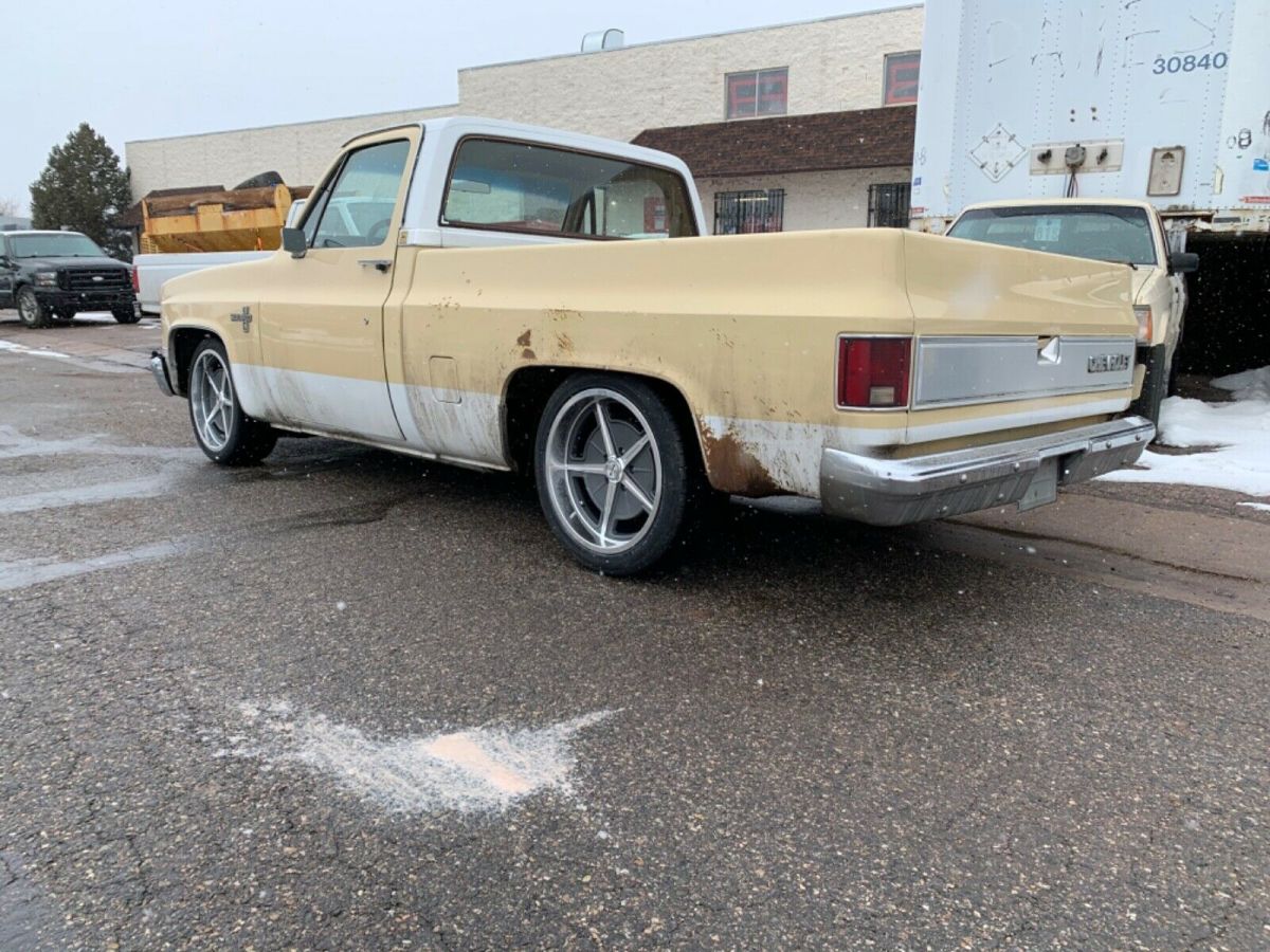1981 Chevrolet C-10 Standard Cab Pickup