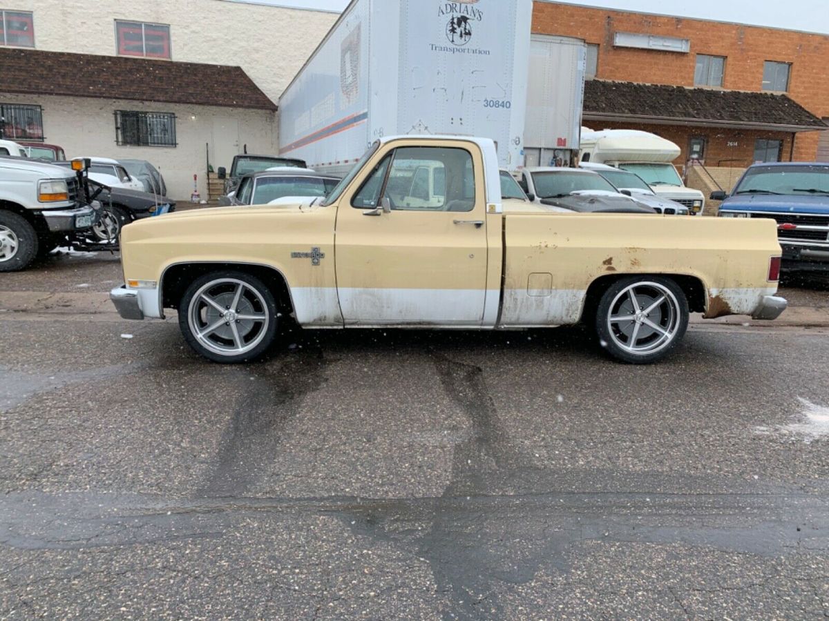 1981 Chevrolet C-10 Standard Cab Pickup