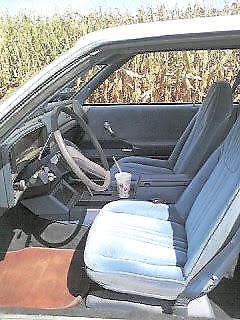 1981 Sea Breeze Blue (Aqua) Chevrolet Malibu 2 Dr HT