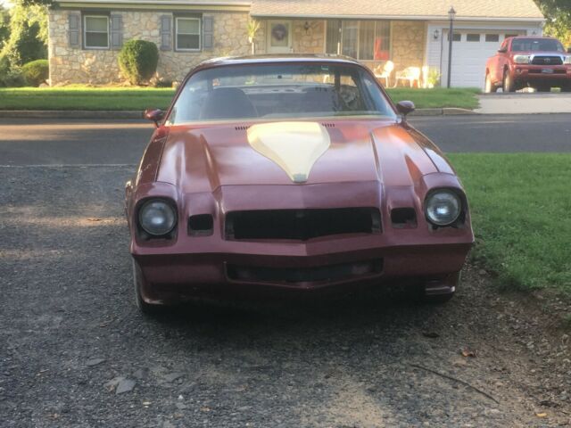 1981 Chevrolet Camaro Berlinetta