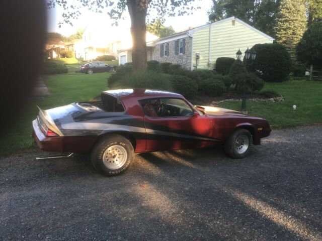 1981 Chevrolet Camaro Berlinetta