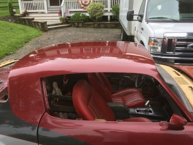 1981 Chevrolet Camaro Berlinetta