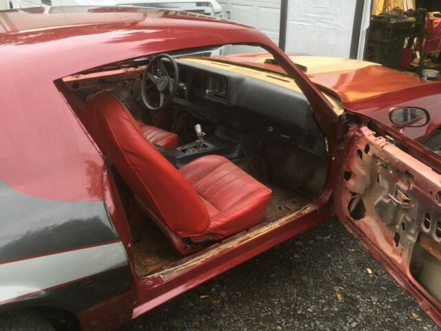 1981 Chevrolet Camaro Berlinetta