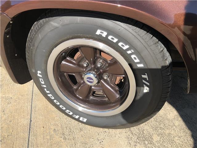 1981 Brown Chevrolet Camaro Coupe