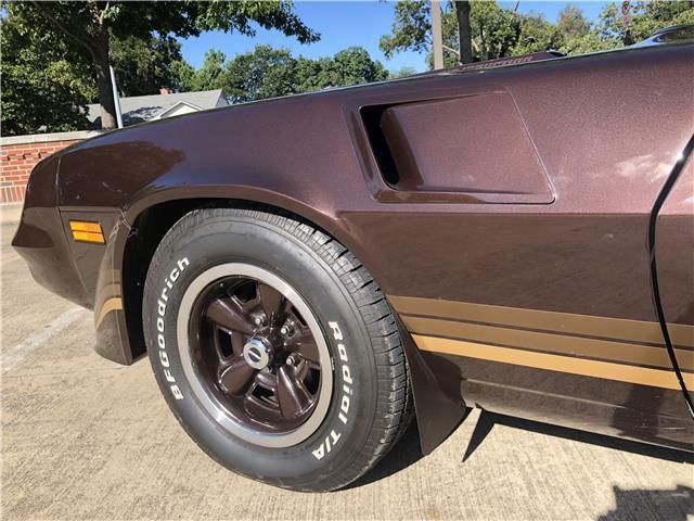 1981 Brown Chevrolet Camaro Coupe