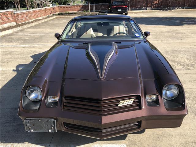 1981 Brown Chevrolet Camaro Coupe