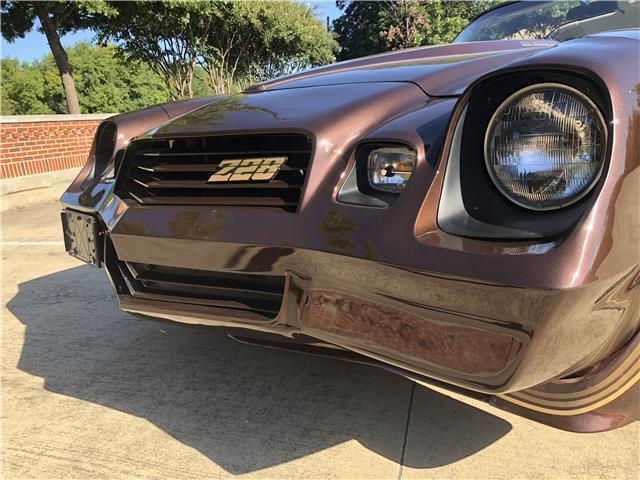 1981 Brown Chevrolet Camaro Coupe