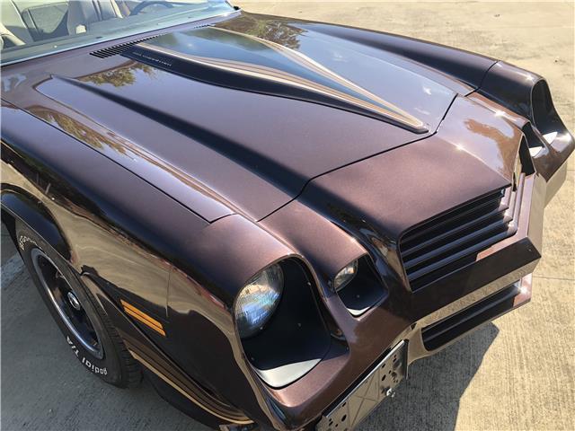 1981 Brown Chevrolet Camaro Coupe