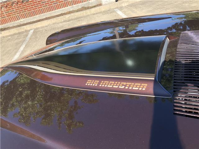 1981 Brown Chevrolet Camaro Coupe