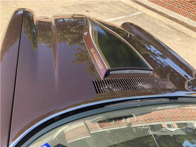 1981 Brown Chevrolet Camaro Coupe