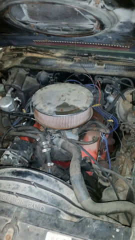 1981 Primer Gray Chevrolet Camaro Coupe