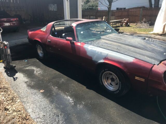 1981 Red Chevrolet Camaro Coupe