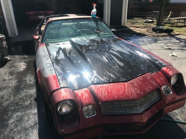 1981 Red Chevrolet Camaro Coupe