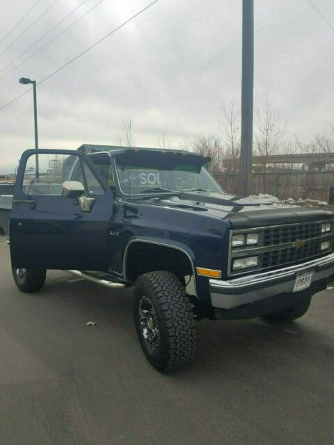 1981 Blue Chevrolet C/K Pickup 2500 Standard Cab Pickup
